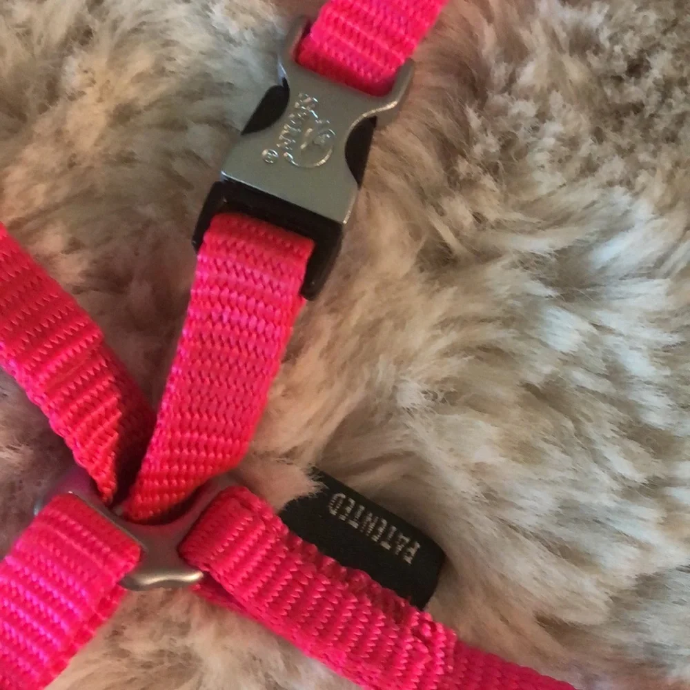 sporn cat harness